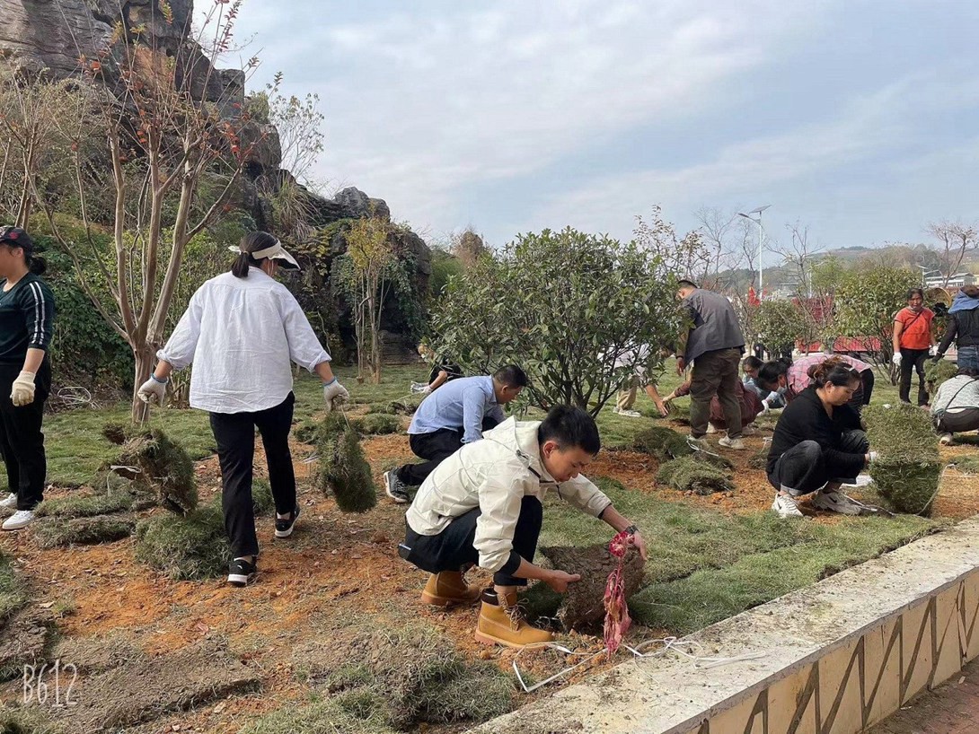 贵州铜仁数据职业学院（筹）教职工投身校园绿化建设
