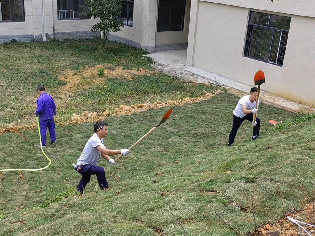 贵州铜仁数据职业学院（筹）教职工投身校园绿化建设