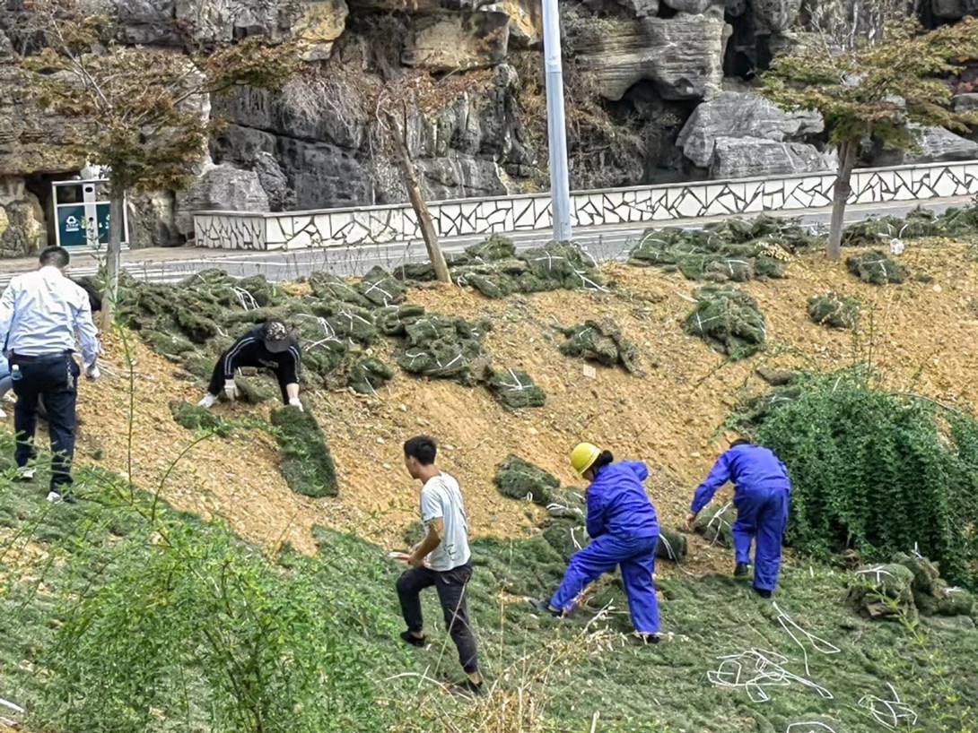 贵州铜仁数据职业学院（筹）教职工投身校园绿化建设