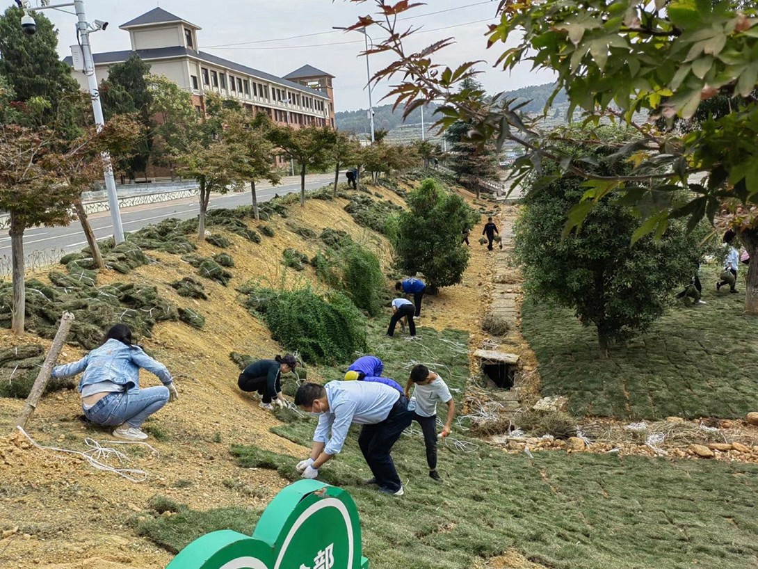 贵州铜仁数据职业学院（筹）教职工投身校园绿化建设