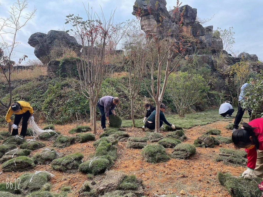 贵州铜仁数据职业学院（筹）教职工投身校园绿化建设