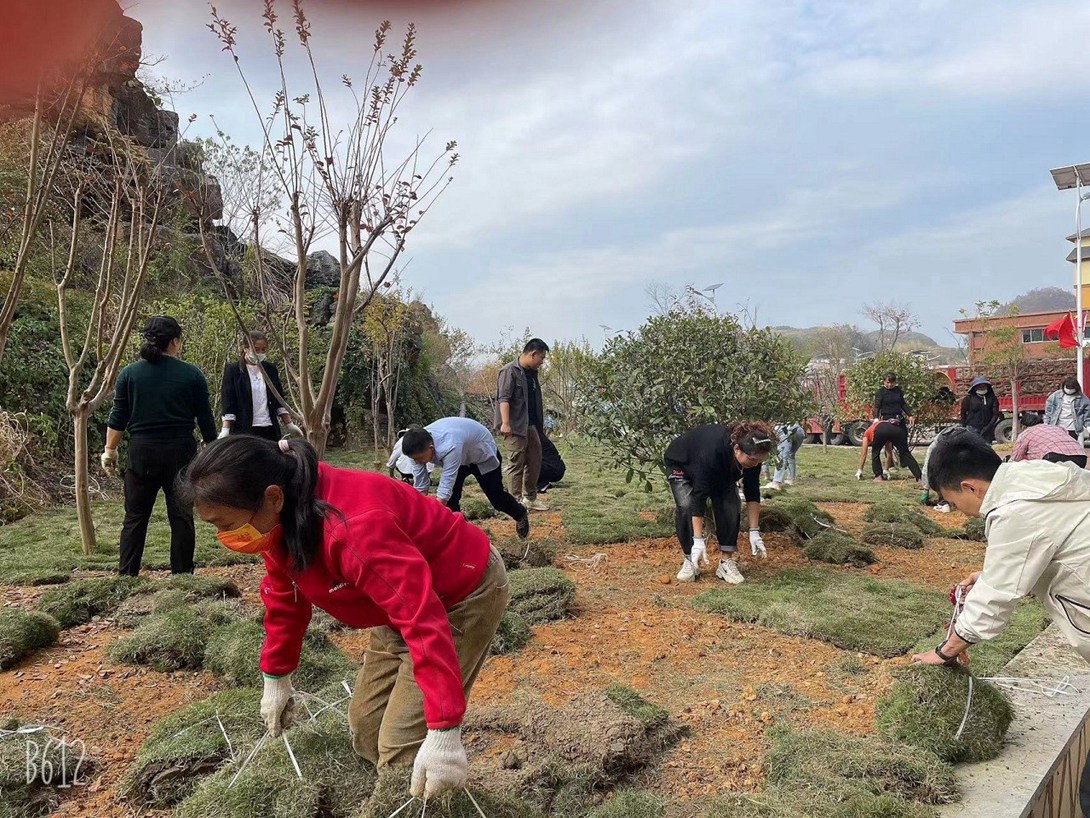 贵州铜仁数据职业学院（筹）教职工投身校园绿化建设