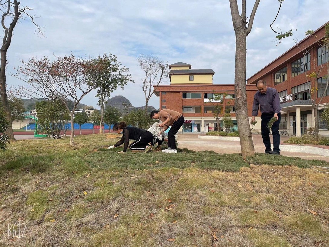 贵州铜仁数据职业学院（筹）教职工投身校园绿化建设